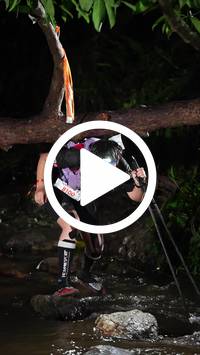 BIB:  <button type="button" onclick="openModal(27501454)" class="btn btn-primary btn-sm float-right" data-toggle="modal" data-target=".modal-high-quality">
                <i class="fa fa-download"></i> Download
                </button>